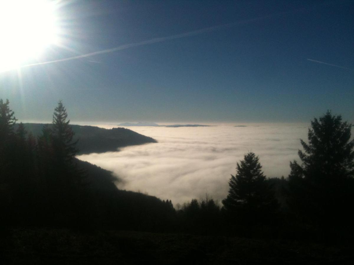 Les Gites De La Serva - Champ Du Feu - Montagnes- Vosges Belmont (Bas-Rhin) Exterior foto